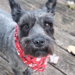 Meet your Posher, Barbara